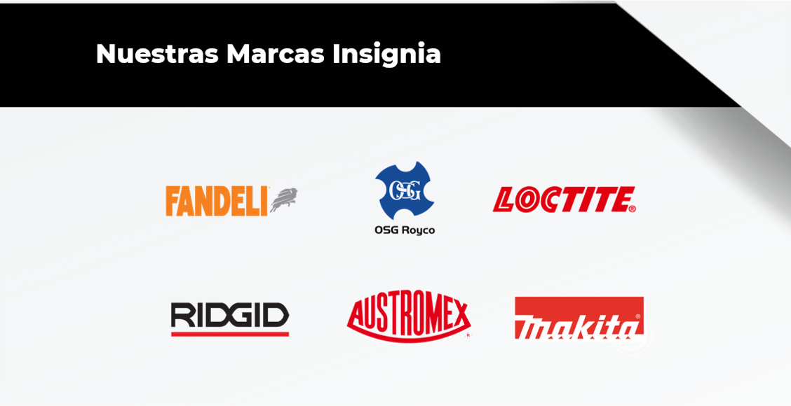 Insignia